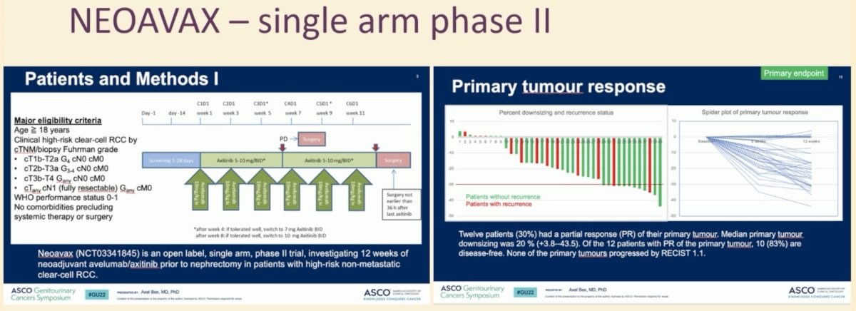 Among the 12 patients with a partial response of the primary tumor, 10 (83%) were disease-free. At a median follow-up of 23.5 months, recurrence occurred in 13 (32%) patients at a median of 8 months, and 3 died of disease. Neither median disease-free survival nor overall survival has been reached to date