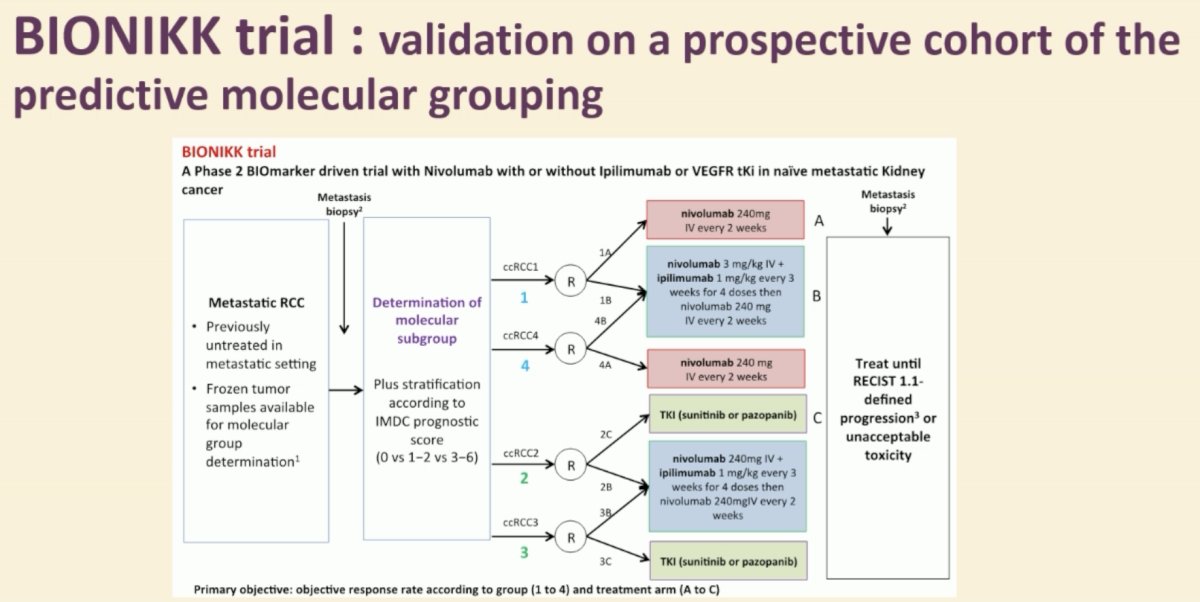 BIONIKK is a French, multicenter randomized non-comparative trial that randomized untreated mRCC patients according to their tumor molecular subgroup, defined on a frozen tumor sample. Patients with ccRCC1 and ccRCC4 tumors were randomized to receive nivolumab alone or nivolumab + ipilimumab, whereas patients with ccRCC2 and ccRCC3 tumors were randomized to receive nivolumab + ipilimumab or a TKI alone.