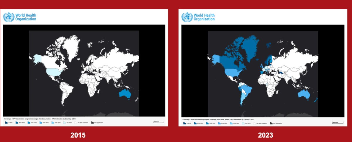 Notably, when comparing penile cancer incidence maps with HPV vaccination coverage for the first dose in males, vaccination rates have increased, particularly in North America and Europe. However, regions with the highest penile cancer incidence, such as South America, Africa, and Southeast Asia, still have low HPV vaccination coverage, highlighting a critical gap in preventive efforts.