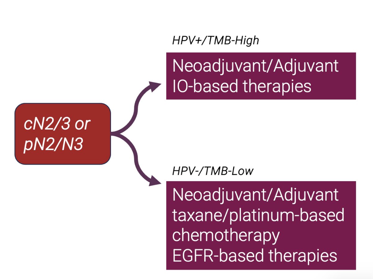 TMB-high/HPV+ penile squamous cell carcinoma patients will deserve next-generation ICI therapy-based trials such as the proposed algorithm below
