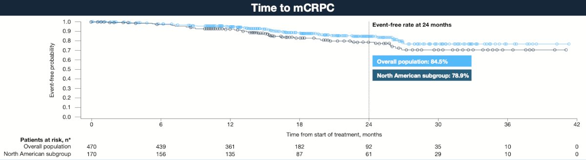Metastasis free survival and mCRPC-free rates at 24 months were slightly lower in the North American subgroup: 2