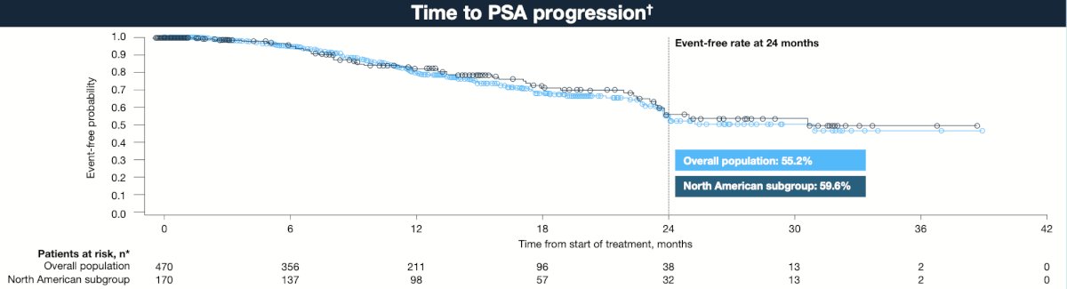 PSA undetectable and progression free rates were slightly higher in the North American subgroup:
