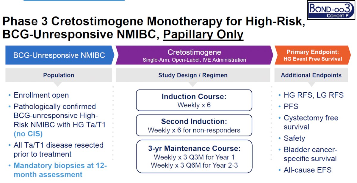 Patients will receive a 6-week induction course, with a second induction course allowed for non-responders. A 3-year maintenance course is planned for responders. The primary endpoint is high-grade event-free survival, with key secondary endpoints including:
