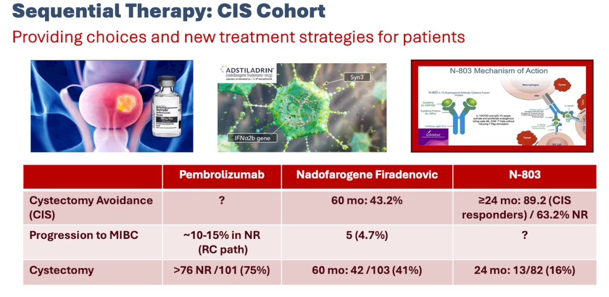 Lastly, we should acknowledge the costs of these novel FDA approved therapies, however, it is essential to offer our patients meaningful choices and explore new treatment strategies for sequential therapy after BCG failure. These approaches should aim to avoid cystectomy and prevent progression to muscle-invasive disease, as highlighted below.
