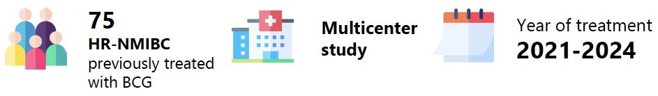 This study included 75 patients with high-risk NIMBC previously treated with BCG between 2021 and 2024. One-year disease-free survival (DFS), high grade (HG)-DFS, and progression-free survival (PFS) were estimated using Kaplan-Meier curves. Adverse events (AEs) were recorded through medical interviews.