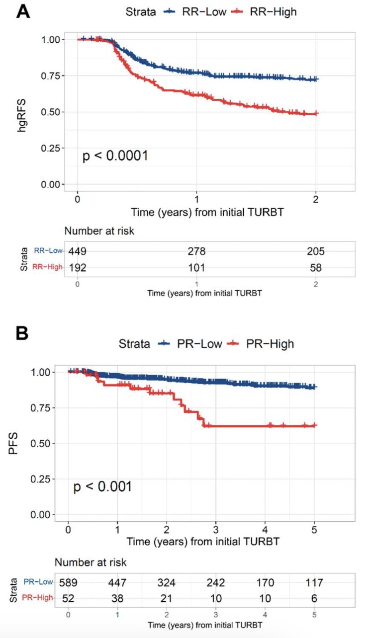 Moreover, “high progression risk” patients had poorer progression free survival (HR 3.87, p < 0.001) and higher risk of cystectomy (HR 3.35, p < 0.0001) than “low progression risk” cases: