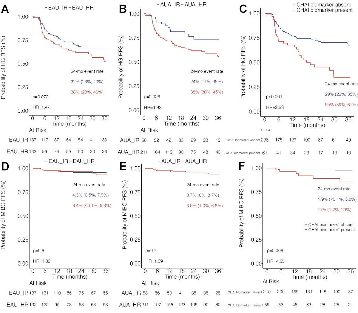 WSI from 269 patients with HG Ta NMIBC were included. The median follow-up was 32 months (IQR: 14–52). The summary results of HG-RFS and MIBC-PFS, stratified by AUA, EAU guidelines, and CHAI biomarkers are illustrated below.