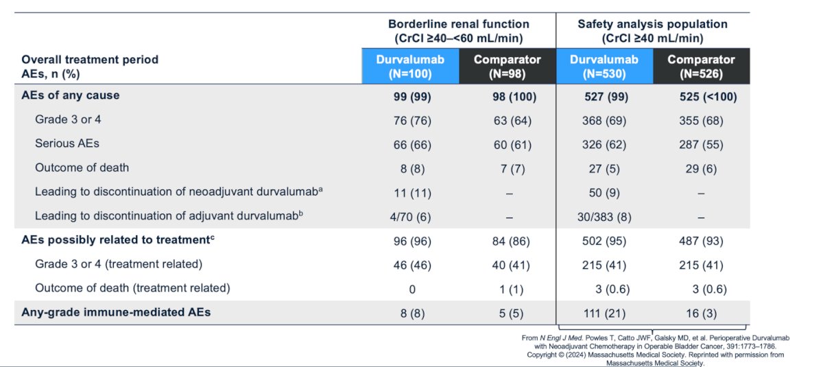 Lastly, the safety profile was generally similar between treatment arms and across subgroup populations. Notably, adverse events (AEs) leading to discontinuation of neoadjuvant durvalumab occurred in 11% of patients in the borderline renal function group (CrCl ≥40–<60 mL/min) and in 9% of the overall safety analysis population (CrCl ≥40 mL/min). Discontinuation of adjuvant durvalumab due to AEs was reported in 6% of patients in the borderline renal function group and in 8% of the overall safety population.
