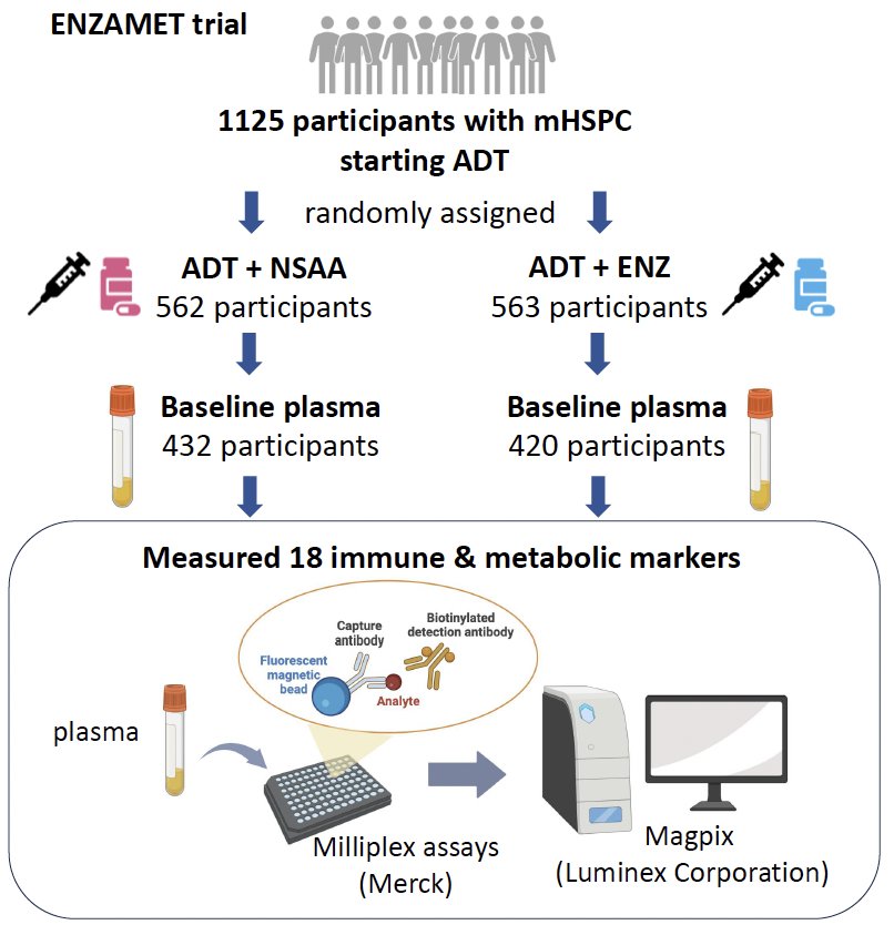 Baseline plasma levels of IL8, IGF1, IGFBP1, C-reactive protein (CRP), and 14 other cytokines were profiled in 852 participants of ENZAMET using Milliplex antibody assays (Merck). The association of these markers with OS and clinical progression-free survival (cPFS) was assessed using Cox regression analyses.