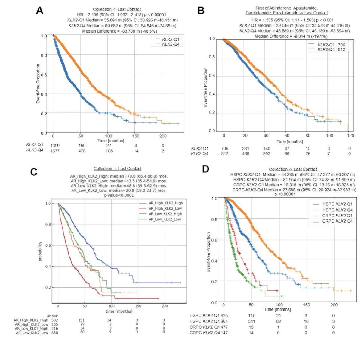 High KLK2 was also associated with improved overall survival from collection time (median 69.7 versus 35.9 months, p < 0.001) and first androgen receptor pathway inhibitor initiation (median 48.9 versus 39.5 months, p < 0.001). KLK2-high HSPC and CRPC tumors had improved overall survival compared to low tumors (median 82.0 HSPC KLK2-high versus 54.3 HSPC KLK2-low versus 23.7 CRPC KLK2-high versus 16.3 CRPC KLK2-low months, q < 0.01). The combination of KLK2-high/AR-high was associated with increased overall survival compared to KLK2-high/AR-low, KLK2-low/AR-high, and KLK2-low/AR-low tumors (median 70.8 versus 48.8 versus 43.5 versus 20.8 months, respectively, p < 0.001):&nbsp;
