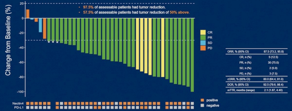 To date, the objective response rate was 87.5% (95% CI 73.2-95.8), including a 12.5% complete response rate (confirmed objective response rate was 80%). The disease control rate was 92.5% (95%CI 79.6-98.4)