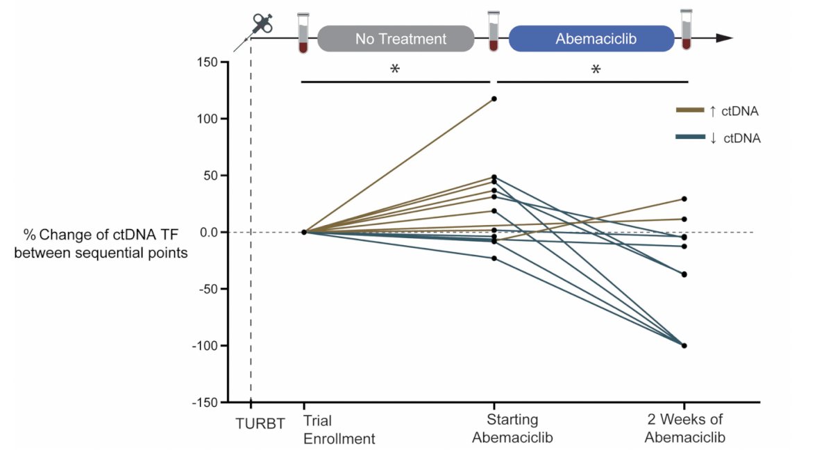 Serial ctDNA showed a significant reduction in tumor fraction following abemaciclib by 28.6%. Post-TURBT pre-abemaciclib tumor fraction increased but rapidly decreased within 2 weeks of abemaciclib (19.36%), confirming tumor fraction reduction was driven by abemaciclib not TURBT: