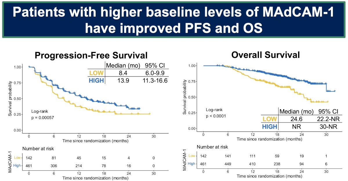 Patients with higher levels of soluble MAdCAM-1 (above 180 ng/mL) had significantly better survival outcomes. Their median progression-free survival was 13.9 months compared to 8.4 months in the low MAdCAM-1 group (p<0.01). A similar pattern was observed for OS – median OS was not yet reached in the high MAdCAM-1 group, versus 24 months in the low group (p<0.01).