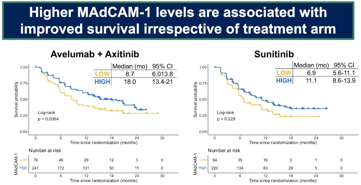 These superior survival outcomes were observed irrespective of treatment received, highlighting MAdCAM-1 as a prognostic biomarker. In the avelumab + axitinib-treated patients, the median PFS was 18 versus 8.7 months in the MAdCAM-1 high and low groups, respectively. In sunitinib-treated patients, the corresponding values were 11.1 and 6.9 months, respectively.