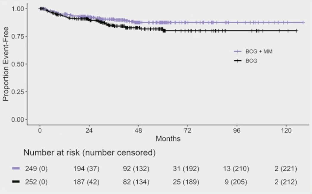 Moreover, time to progression at 24 months was 92% for BCG + mitomycin versus 90% for BCG alone (subdistribution HR 0.68, 95% CI 0.41-1.11):