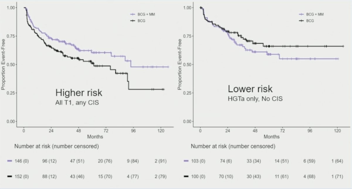 There was no difference in overall survival, with 26 deaths in the BCG + mitomycin arm (7 from bladder cancer) versus 23 in the BCG alone arm (5 from bladder cancer). Subgroup analyses for disease free survival suggest a potential role for BCG + mitomycin in patients with higher risk (all T1, any CIS) disease (HR 0.69, 95% CI 0.48-0.99):