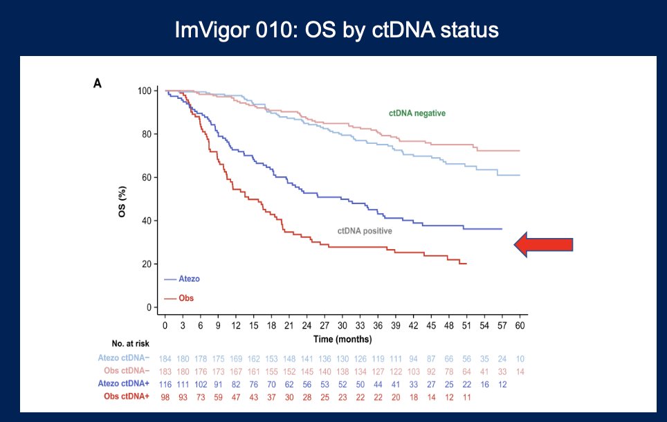 While there was no overall difference in DFS between treatment arms, patients with positive ctDNA who received atezolizumab had improved DFS (HR 0.58), suggesting potential benefit in this subgroup. Notably, ctDNA positivity was strongly predictive of recurrence, with a hazard ratio of 6.0 for recurrence compared to ctDNA-negative patients who did not receive treatment.