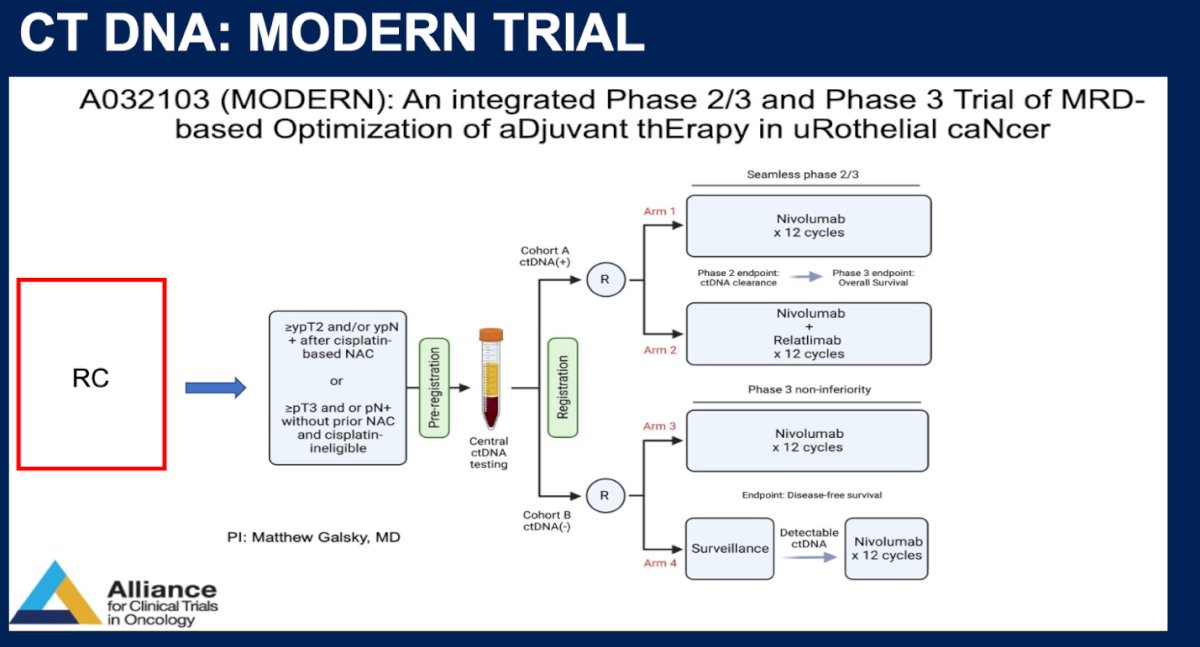 Similarly, the MODERN (A032103) trial is an integrated phase 2/3 study evaluating ctDNA-guided adjuvant immunotherapy in urothelial cancer following RC. Patients with high-risk pathological features either after neoadjuvant chemotherapy or who are cisplatin-ineligible undergo centralized ctDNA testing post-surgery. ctDNA-positive patients are randomized to receive nivolumab alone or in combination with relatlimab, while ctDNA-negative patients are randomized to either surveillance or nivolumab. This trial aims to personalize adjuvant therapy based on molecular residual disease status, with ctDNA clearance and survival outcomes as primary endpoints.