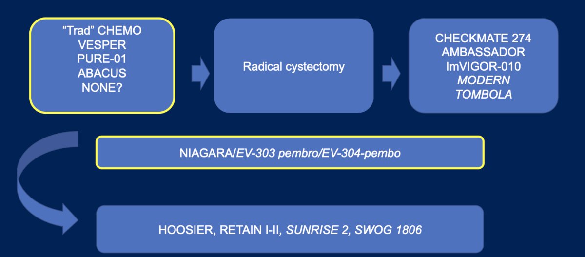 Bladder-sparing options like TMT remain relevant, alongside ongoing trials evaluating novel bladder-preserving strategies. These are the choices we are increasingly asked to make in clinic, as illustrated in the figure below.