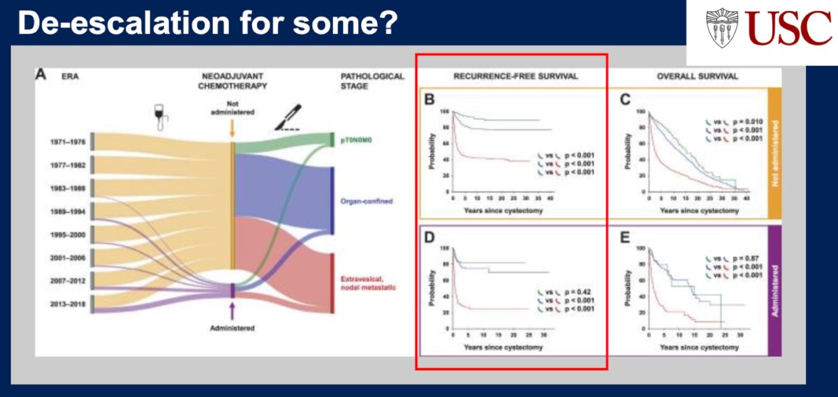 Data from the University of Southern California (USC) evaluating management trends and outcomes in patients undergoing RC for MIBC show that despite advances in perioperative care and higher rates of pT0N0M0 following NAC and RC, RFS outcomes have remained stable. Interestingly, even patients who never received NAC either due to treatment era or ineligibility still achieved pT0N0M0 status.7 These findings prompt an important question: could treatment intensity be reduced or de-escalated in select patients without compromising outcomes?