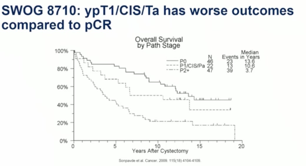 image-3.jpg