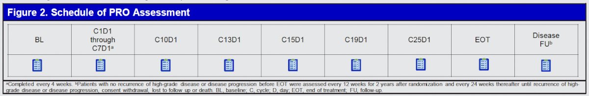 PROs were secondary endpoints and not included in the testing hierarchy. The EORTC QLQ-C30 and EORTC QLQ-NMIBC24 questionnaires were conducted at baseline, throughout treatment at select scheduled visits, and during the safety follow-up periods.