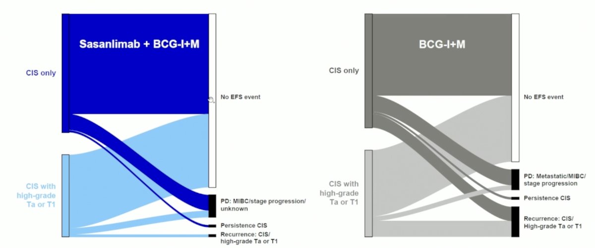 image-3.jpg