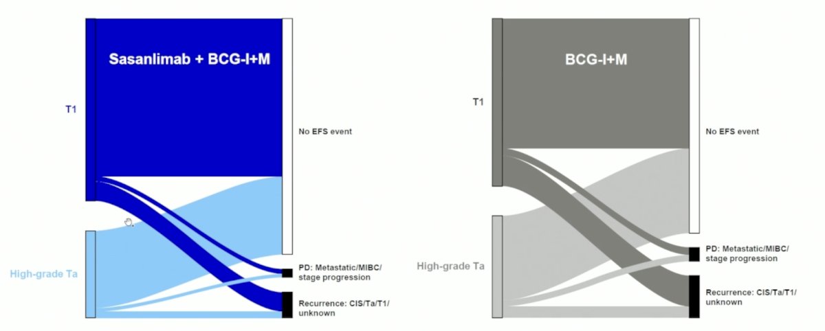 image-5.jpg