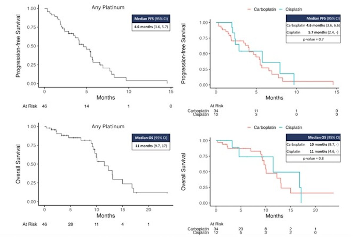No significant differences between cisplatin and carboplatin-based regimens were detected for ORR (p=0.7), PFS (p=0.7) or OS (p=0.8). The median duration of response was 4.6 months (IQR: 3.6–7.7). Median progression-free survival (PFS) was 4.6 months (95% CI: 3.6–5.7), and median OS was 11 months (95% CI: 9.7–17.0). The Kaplan Meier graphics are shown below.