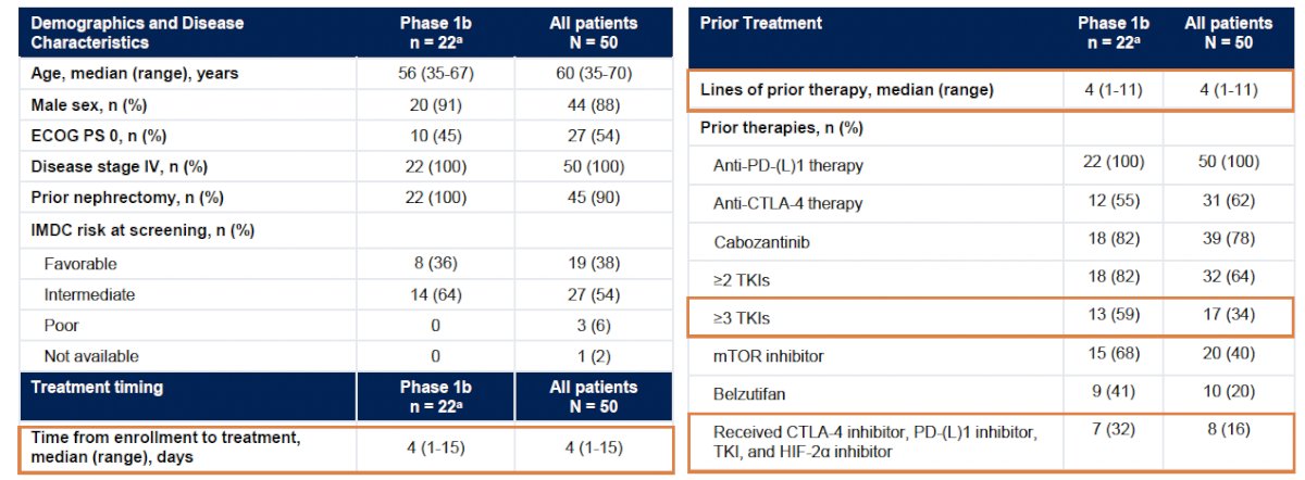 Phase 1b patients (n=22) received a median of 4 prior lines of therapy: 59% had received 3+ prior TKIs, 41% had received belzutifan, and 32% were quadruple class refractory to inhibition of the CTLA-4, PD-(L)1, TKI, and HIF-2α pathways