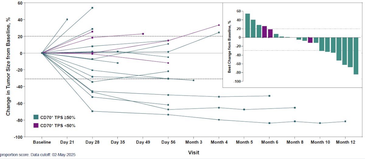 Tumor responses occurred early and were sustained following a single infusion of ALLO-316. Among CD70+ TPS ≥50% patients, 44% (7/16) had >30% reduction in the diameters of baseline target lesions.