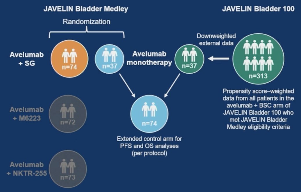 Primary endpoints were investigator-assessed progression free survival and safety, and overall survival was a secondary endpoint. Per protocol, progression free survival and overall survival data in the control arm were extended using external data form the JAVELIN Bladder 100 phase 3 trial. Patients who met JAVELIN Bladder Medley eligibility criteria were included (n = 313/350). To account for population differences, external patients were propensity-score weighted using predefined prognostic factors. The sum of external patients was down weighted to 37 to be equal to the number of randomized patients: