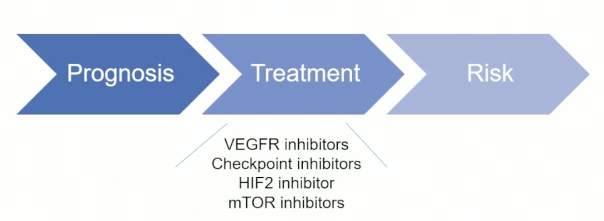 In patients with clear cell RCC, specifically, we have seen the emergence of numerous treatment options, including VEGFR-TKIs, checkpoint inhibitors, HIF-2α inhibitors, and mTOR inhibitors. How can biomarkers help with treatment selection for these patients?
