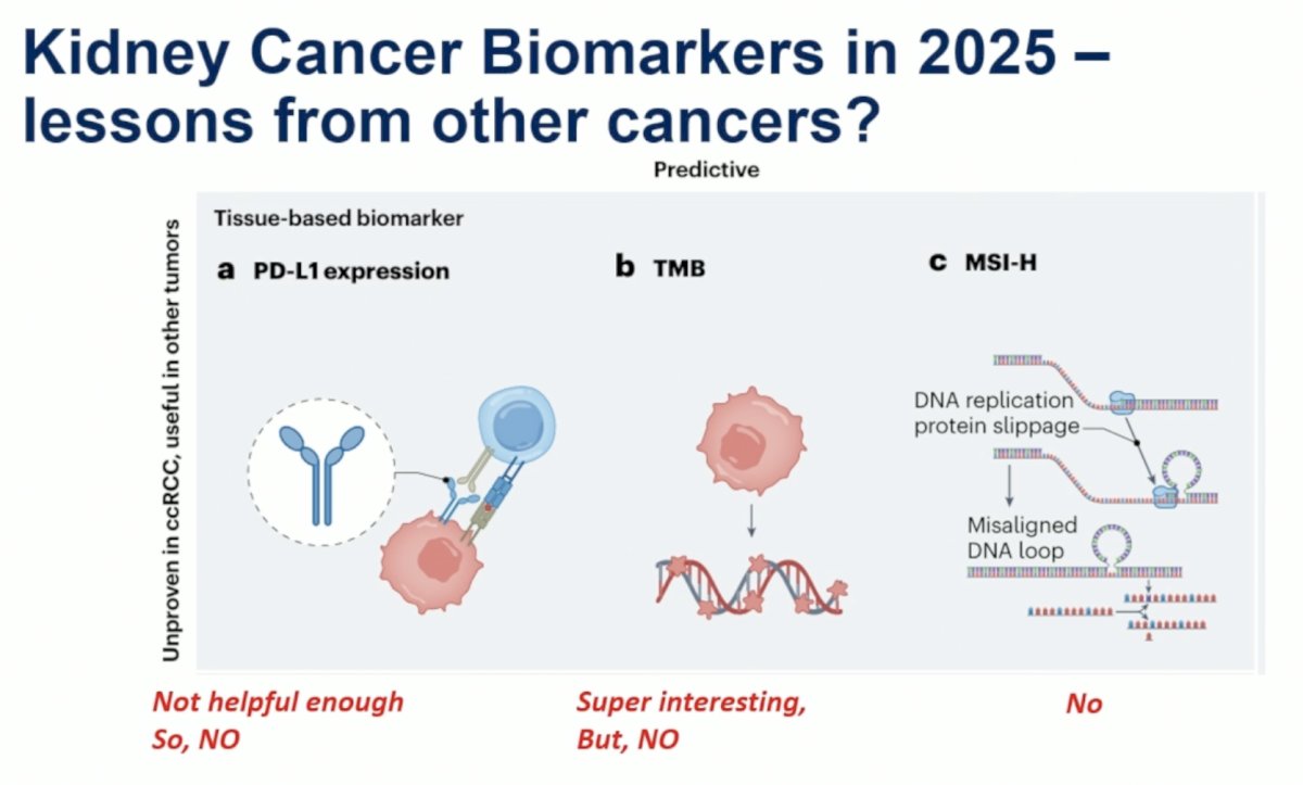 What lessons can be learned from other cancers? While PD-L1 expression, tumor mutational burden (TMB), and microsatellite instability high (MSI-H) have shown prognostic/predictive utility in other disease sites, they have not been shown to be helpful, to date, in kidney cancer.