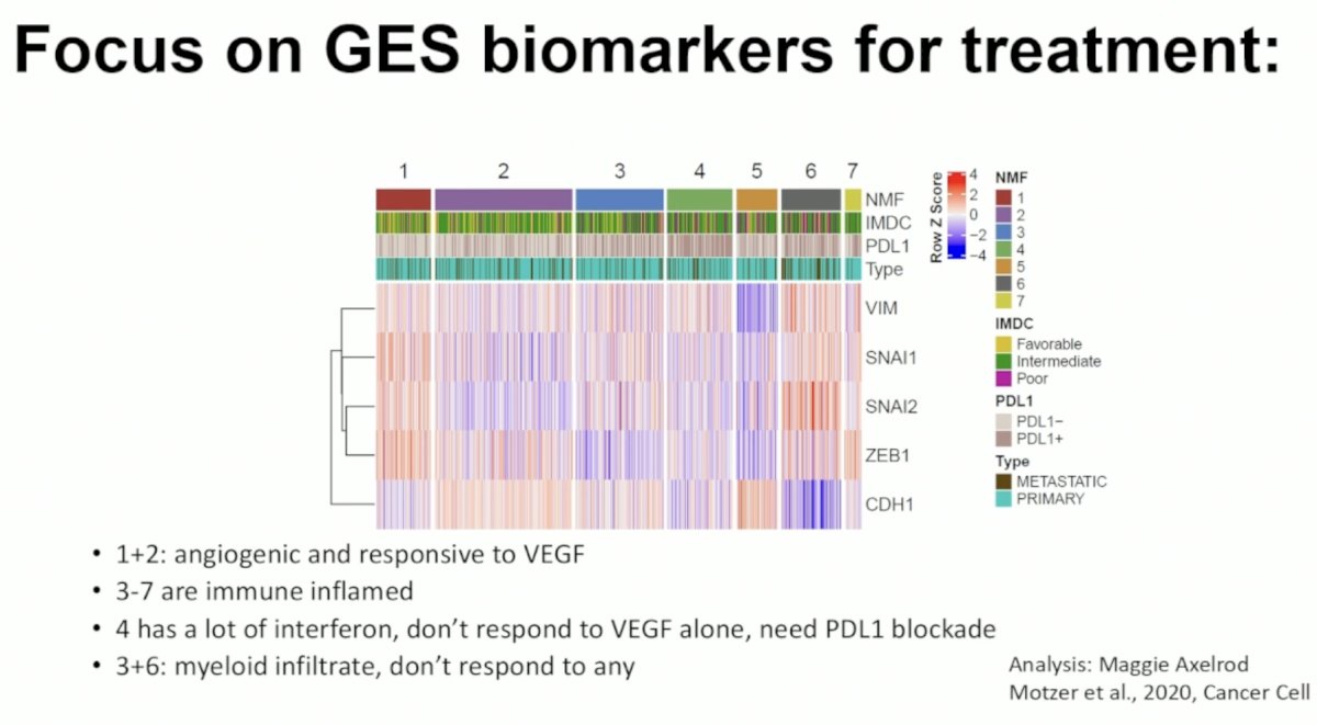Dr. Rathmell next focused on GES biomarkers with 7 molecular subsets described by Motzer et al in 2020