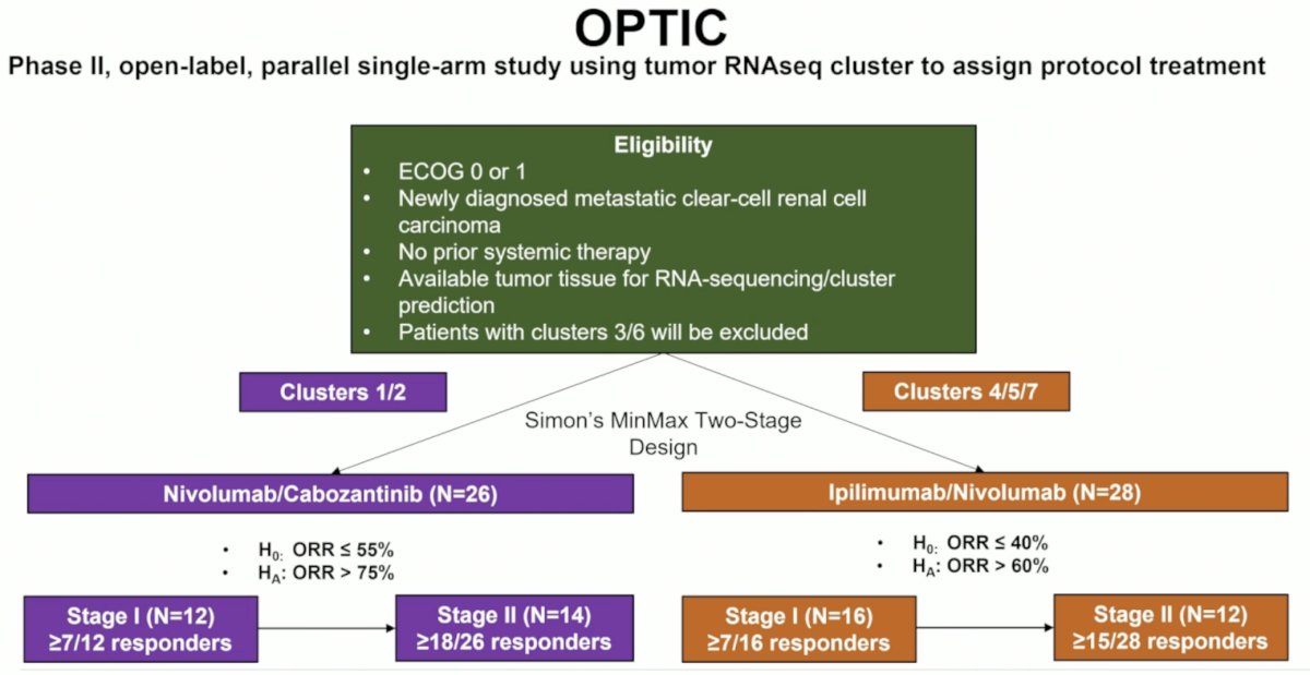 The phase II OPTIC (NCT05361720) RCC study will test the utility of these RNA-seq based biomarkers to assign treatment based on biologic drivers relevant to angiogenesis (nivolumab/cabozantinib) and the immune microenvironment (ipilimumab/nivolumab). Clusters 1 and 2 will receive nivolumab + cabozantinib (IO + VEGFR-TKI), whereas patients in Clusters 4, 5, and 7 will receive ipilimumab + nivolumab (IO-IO)