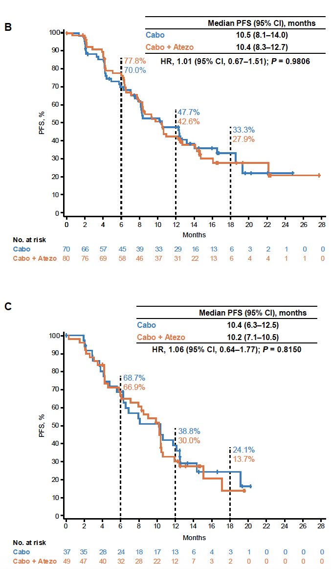 Similar PFS outcomes were observed among patients who received 1L IO–IO or IO–TKI regimens.
