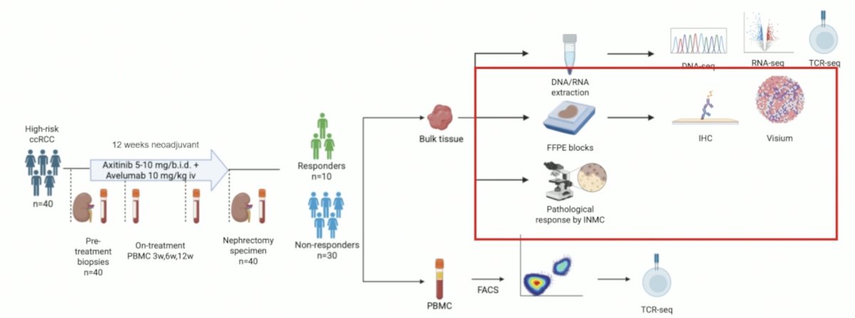 Forty patients were needed to detect a 25% primary tumor partial response rate with an alpha of 0.05 and a power of 80%, using a Simon 2-sage minimax design.