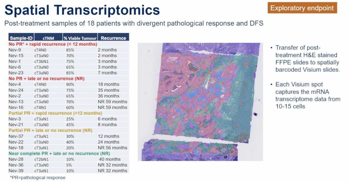 Post-treatment samples of 18 patients with divergent pathologic responses and DFS outcomes were used for spatial transcriptomics.