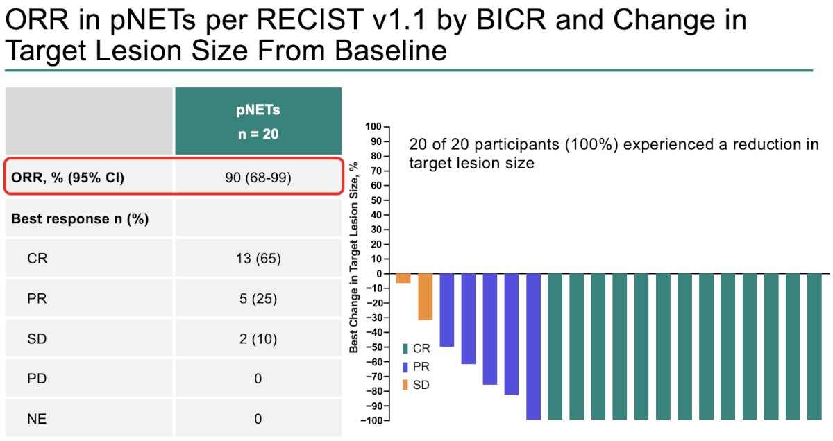 The ORR in pNETs was 90%. 100% of participants with pNETs experienced any reduction from baseline in the total sum of target lesion diameter