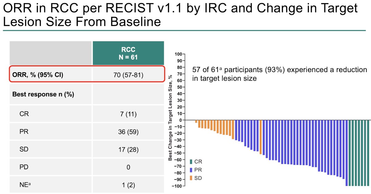 The ORR was 70.5%. A complete response (CR) was observed in 7 (11%) patients and a partial response (PR) in 36 (59%). From the previous data cutoff date of April 3, 2023, to the current data cutoff date of April 1, 2024, the ORR increased from 67% to 70.5% (2 additional partial responses). 93% of participants experienced any reduction from baseline in the total sum of RCC target lesion diameter.