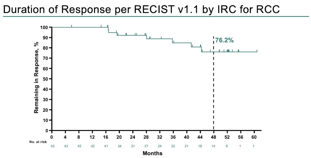 76.2% of participants with RCC remained in response at the 4-year landmark.&nbsp;