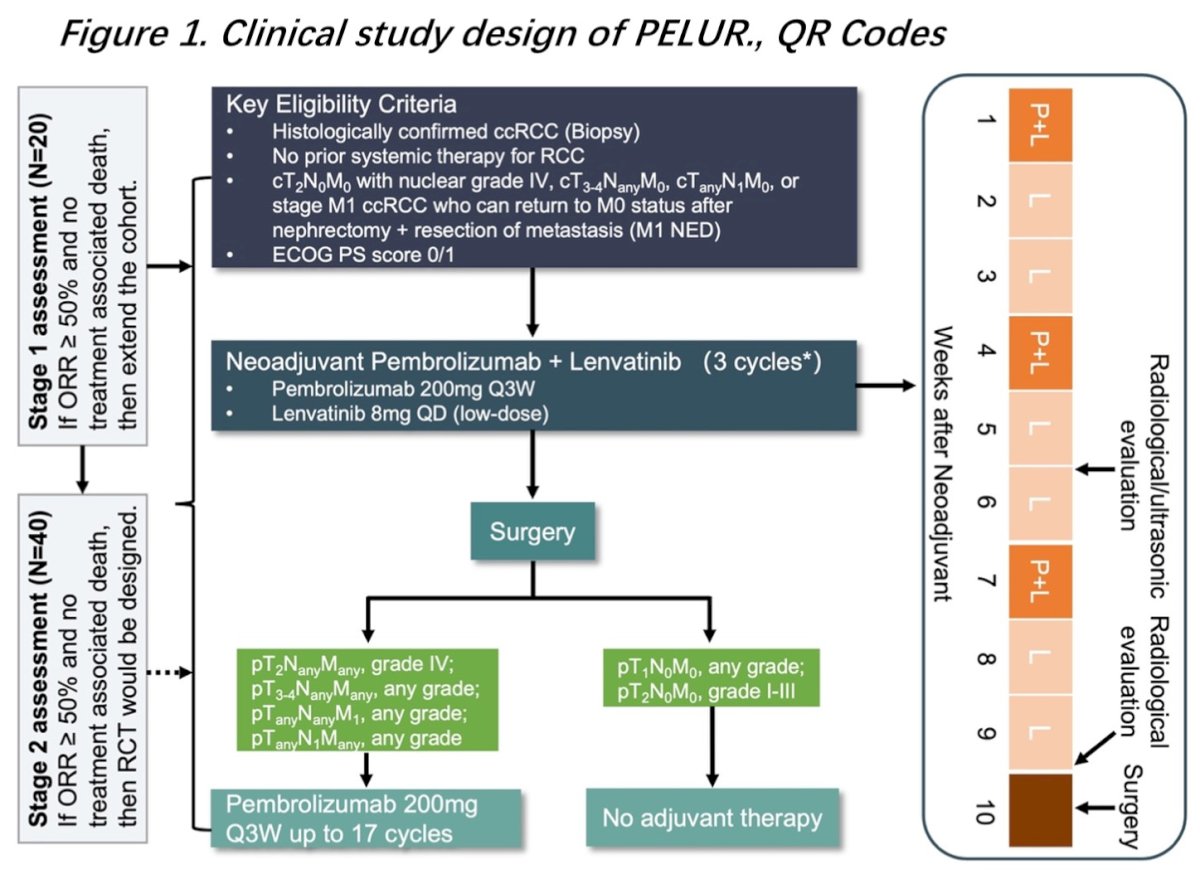 This was an open label phase II clinical trial of patients with resectable, high-risk ccRCC who received neoadjuvant low-dose lenvatinib (8 mg orally once daily) plus pembrolizumab (200 mg intravenously every 3 weeks) for 3 cycles. Following surgery, patients at intermediate-high or high risk of recurrence (KEYNOTE-564 criteria1 – i.e., pT2, G4; pT3-4, pN1, and/or pM1) were recommended for pembrolizumab 200 mg every 3 weeks for up to 17 cycles.