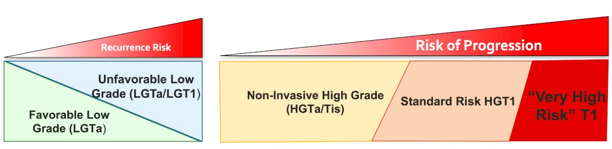Dr. Bochner provided the following figure highlighting the clinical spectrum of non muscle invasive bladder cancer: