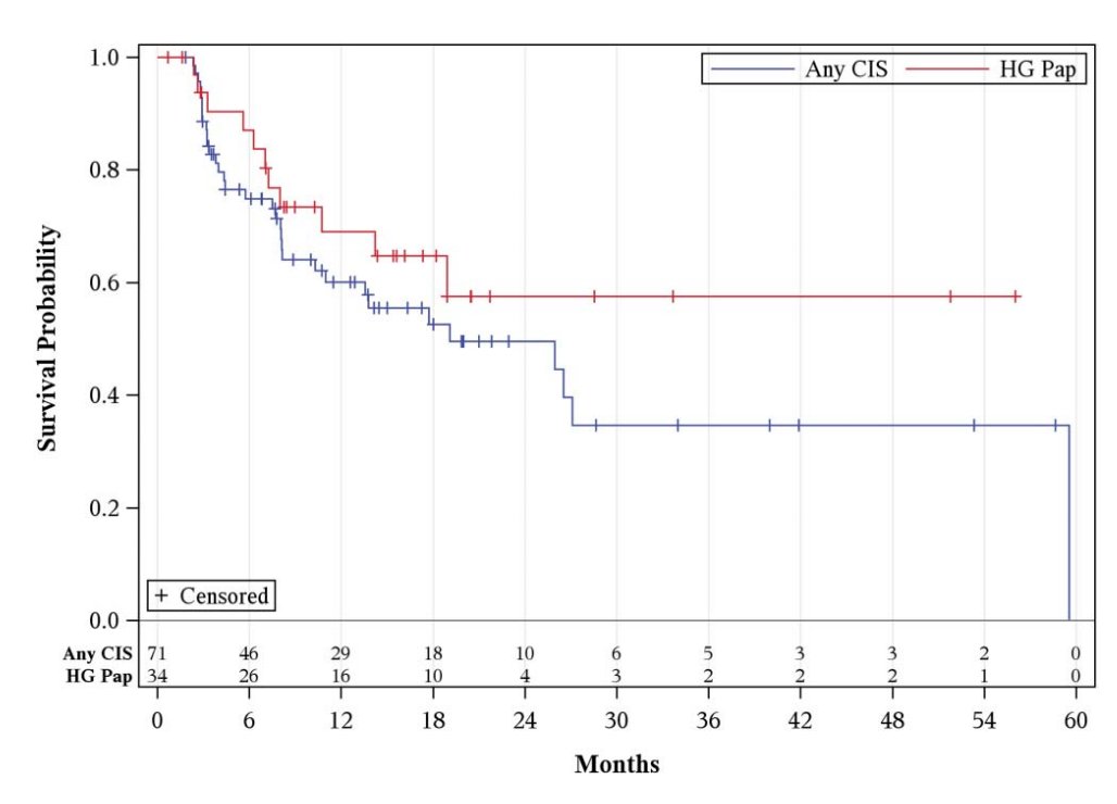 Finally, Dr. Bochner discussed gemcitabine + docetaxel, emphasizing that retrospective studies are not equivalent to prospective clinical trials. In 2020, Steinberg et al.2 investigated intravesical gemcitabine/docetaxel as rescue therapy for non muscle invasive disease. Among 276 patients over a median follow-up of 22.9 months, 39% of patients were CIS alone, 26% were Ta high grade, 21% were T1 high grade, and 13% were Ta low grade. Overall, 53% had one BCG induction course, and 46% had 2+ BCG induction courses, and 38% were “BCG unresponsive.” Of note, some responders went on to maintenance therapy (monthly versus the SWOG schedule) for 24 months. One and 2-year recurrence-free survival rates were 60% and 46%, and high grade recurrence-free survival rates were 65% and 52%, respectively: