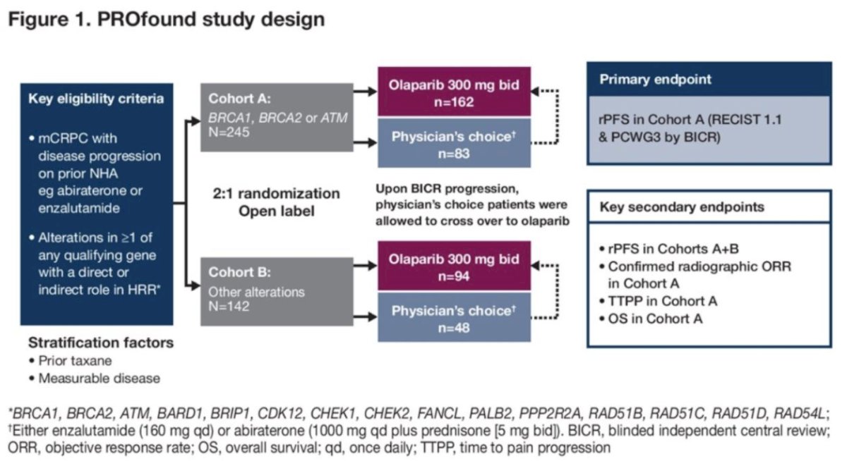 Dr. Jayram provided a brief overview of the PROfound study, a phase III trial that evaluated the efficacy of the PARP inhibitor olaparib in men with mCRPC with HRR gene alterations. Patients were divided into two cohorts: Cohort A included those with BRCA1, BRCA2, or ATM mutations, while Cohort B included patients with other HRR alterations. Participants were randomized in a 2:1 ratio to receive olaparib or physician’s choice of abiraterone or enzalutamide.2