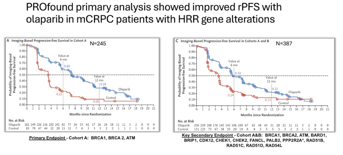 Dr. Jayram noted that the PROfound trial led to the approval of olaparib as a treatment option for patients with mCRPC and HRR gene alterations. The trial demonstrated improved radiographic progression-free survival (rPFS) in men with HRR-deficient mCRPC who had previously received abiraterone or enzalutamide. The graphs presented below showed rPFS outcomes with olaparib in both Cohort A alone and in the combined Cohorts A and B.