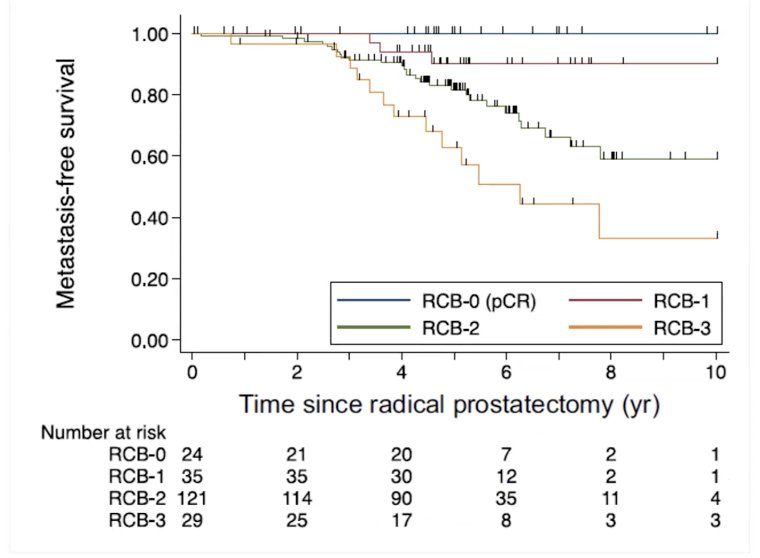 Patients who achieved a pCR or nearly complete response (RCB-1) had only a 10% risk of developing metastases over a 10-year period. In contrast, those with minimal response to neoadjuvant therapy classified as RCB-2 or RCB-3 had significantly worse outcomes, highlighting the importance of achieving a strong pathologic response in the neoadjuvant setting.1