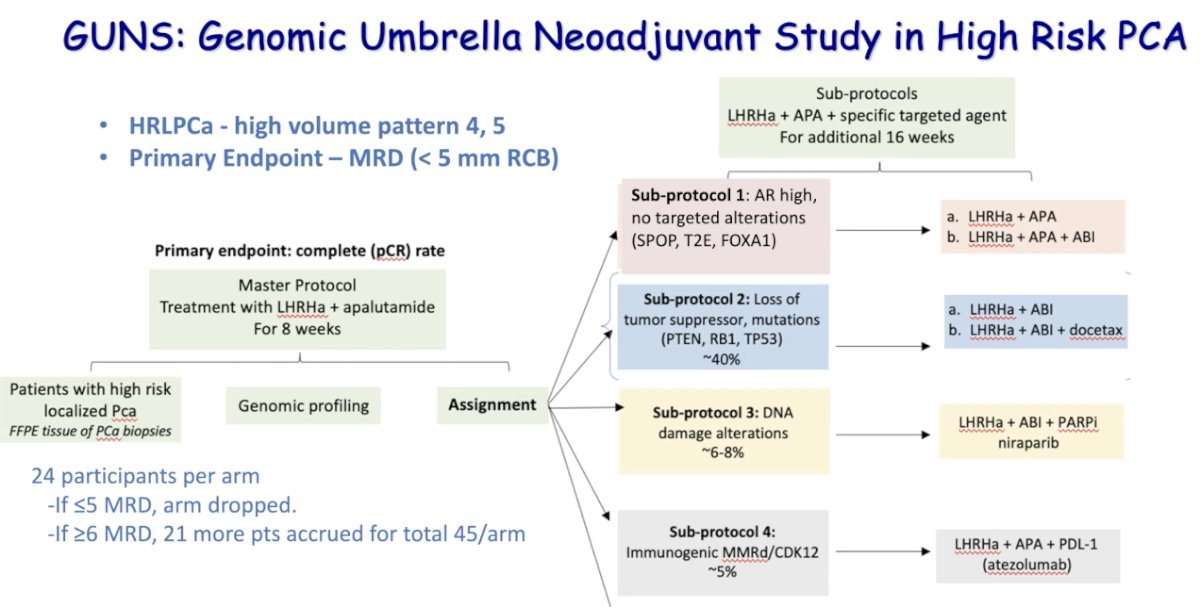 Sub-protocols include: (1) AR-high tumors without targeted alterations (SPOP, T2E, FOXA1), randomized to LHRHa + Apalutamide (APA) vs. LHRHa + APA + ABI; (2) tumors with loss of tumor suppressors (PTEN, RB1, TP53), receiving LHRHa + ABI ± docetaxel; (3) DNA damage repair-deficient tumors treated with LHRHa + ABI + niraparib (PARPi); and (4) immunogenic tumors (MMRd or CDK12-altered) treated with LHRHa + APA + atezolizumab. This design aims to match therapies to genomic features to optimize response.