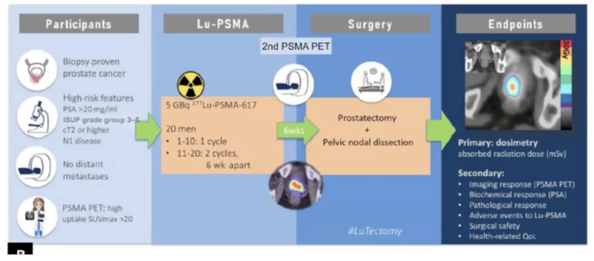 The study enrolled 20 men, with the first 10 receiving a single cycle and the next 10 receiving two cycles of 5 GBq 177Lu-PSMA-617, spaced 6 weeks apart. After treatment, patients undergo a second PSMA PET scan followed by radical prostatectomy with pelvic lymph node dissection. The primary endpoint is dosimetry, measuring the absorbed radiation dose to the tumor. Secondary endpoints include imaging and biochemical responses, pathological outcomes, surgical safety, and quality of life measures.